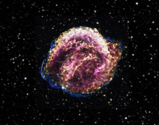 The Kepler supernova