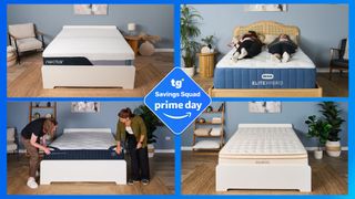The Nectar Classic, the Bear Elite Hybrid, the DreamCloud Classic and Saatva Classic in a side-by-side composite with a Tom's Guide Savings Squad Prime Day badge overlaid on top