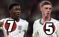 England vs Japan match ratings