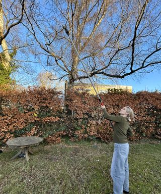 Woman pruning high tree branch in fall with Felco 290 pruner