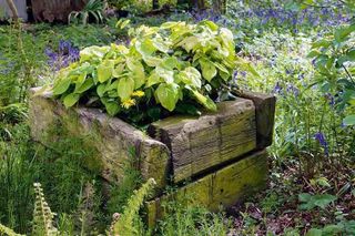 garden wooden planter