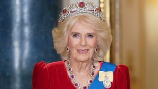 Queen Camilla poses for photos ahead of the State Banquet at Buckingham Palace on November 21, 2023