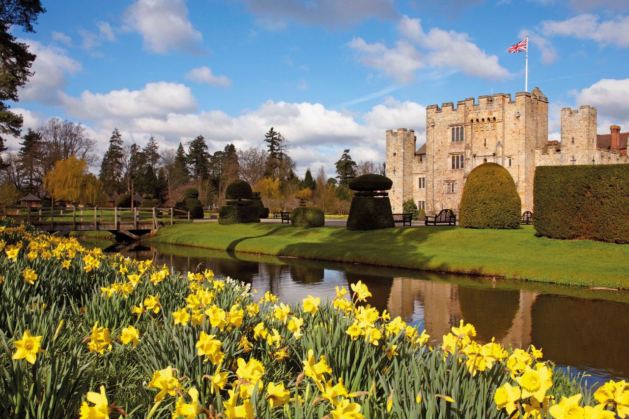 Daffodils delight at Hever Castle