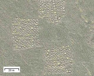 grid pattern in china desert