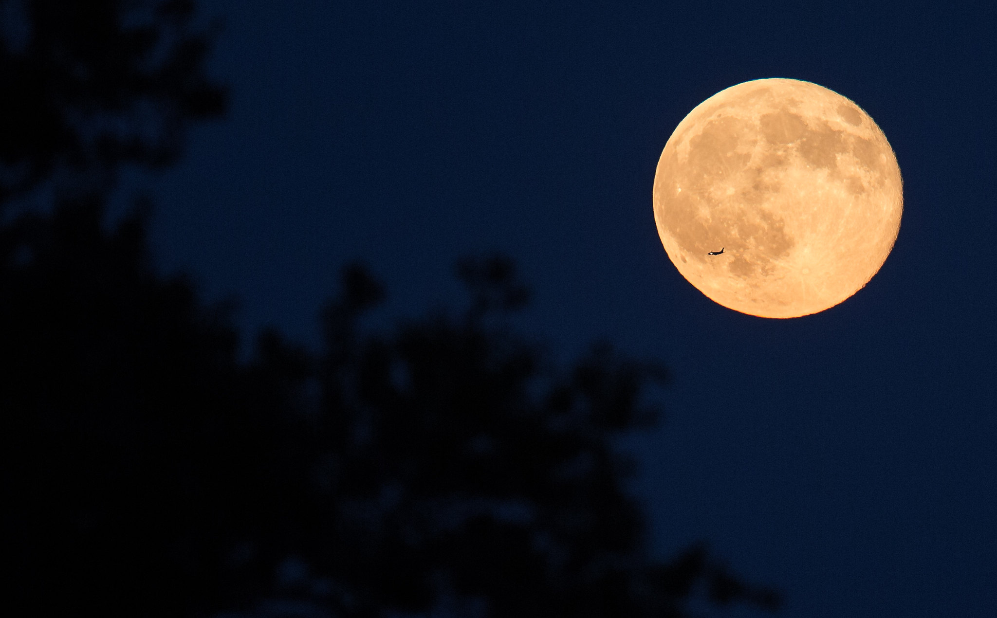 A plane flies in front of the full moon on July 31, 2015.