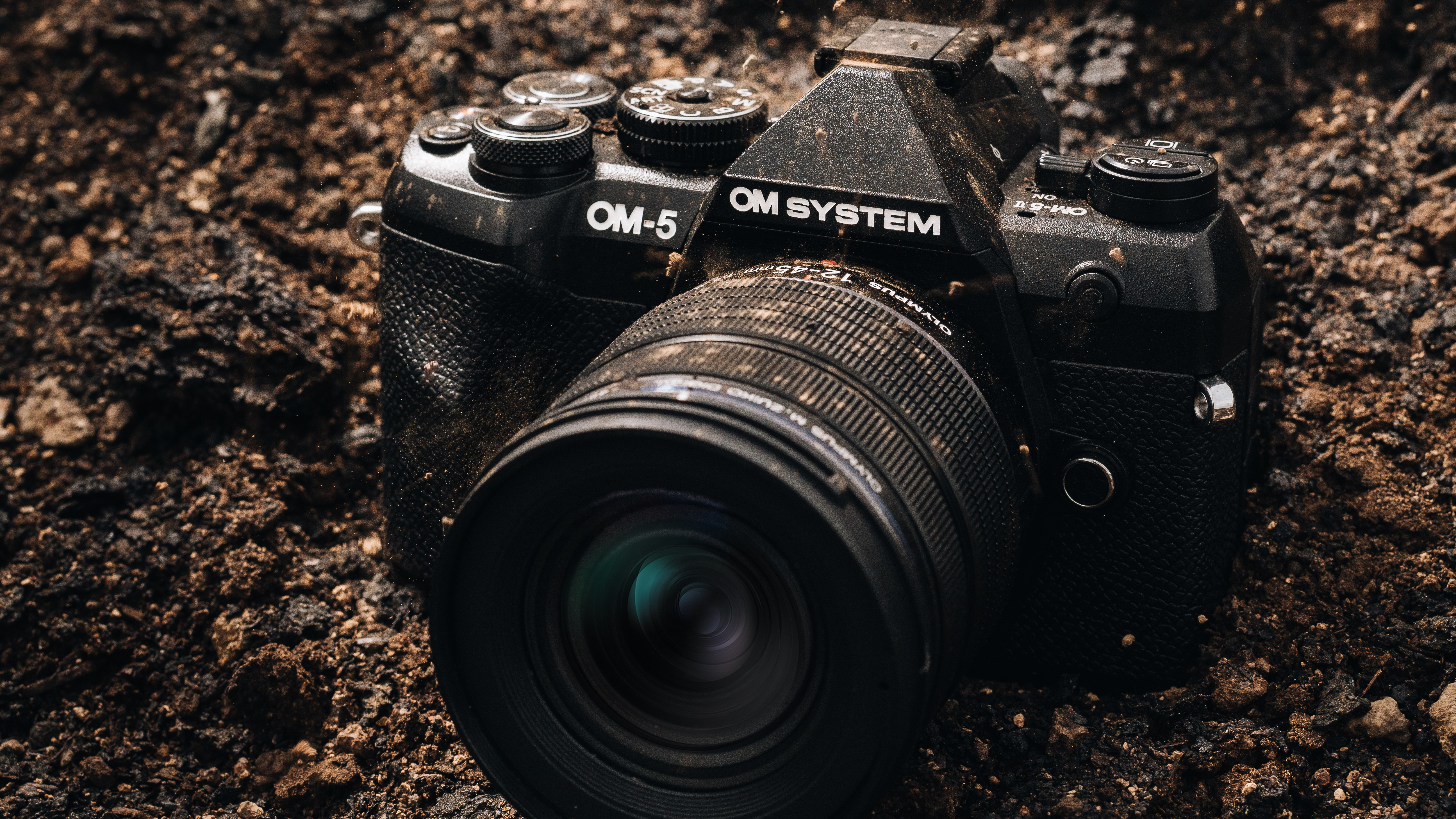 The OM System OM-5 Mark II outdoors
