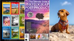 Image showing a selection of the gifts included in the Digital Camera magazine issue 312 digital download – 9 photo tips cards, a photo editing e-book and