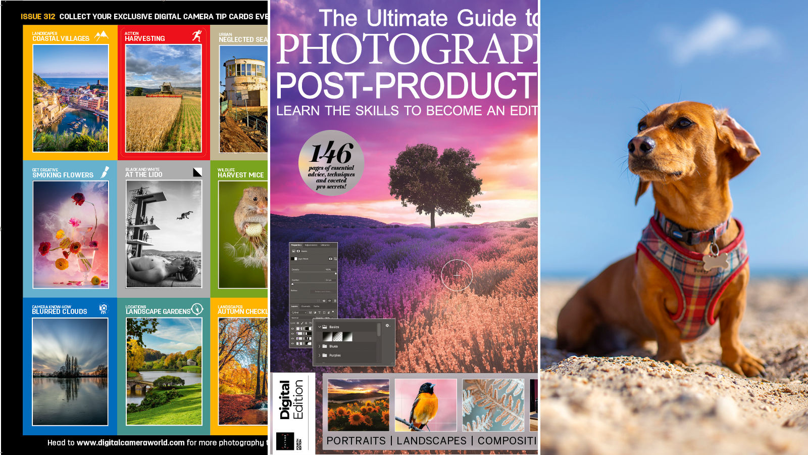 Image showing a selection of the gifts included in the Digital Camera magazine issue 312 digital download &ndash; 9 photo tips cards, a photo editing e-book and one of five image editing tutorials