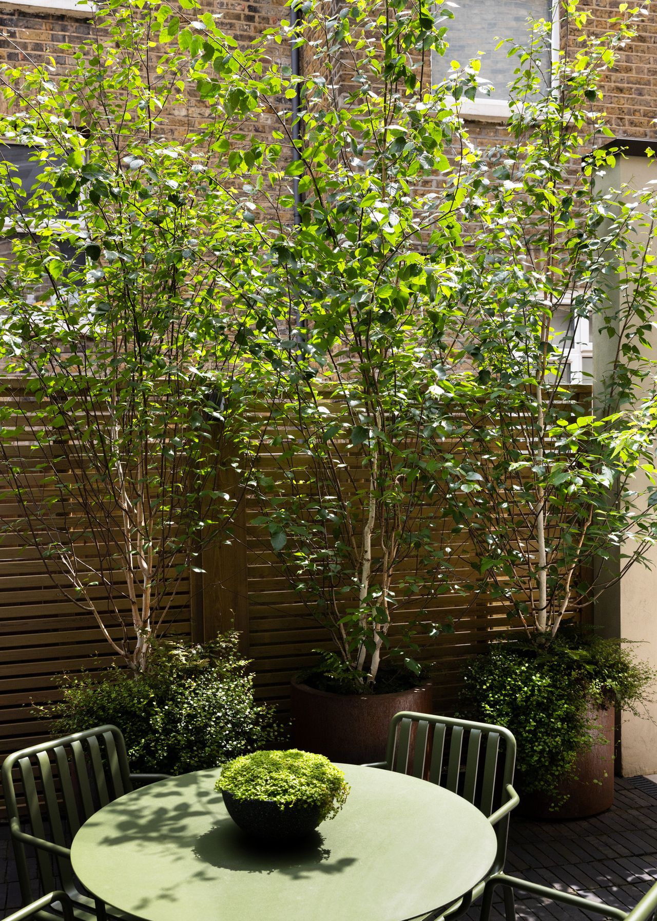 8 Garden Canopy Ideas to Create Shelter in Style | Livingetc