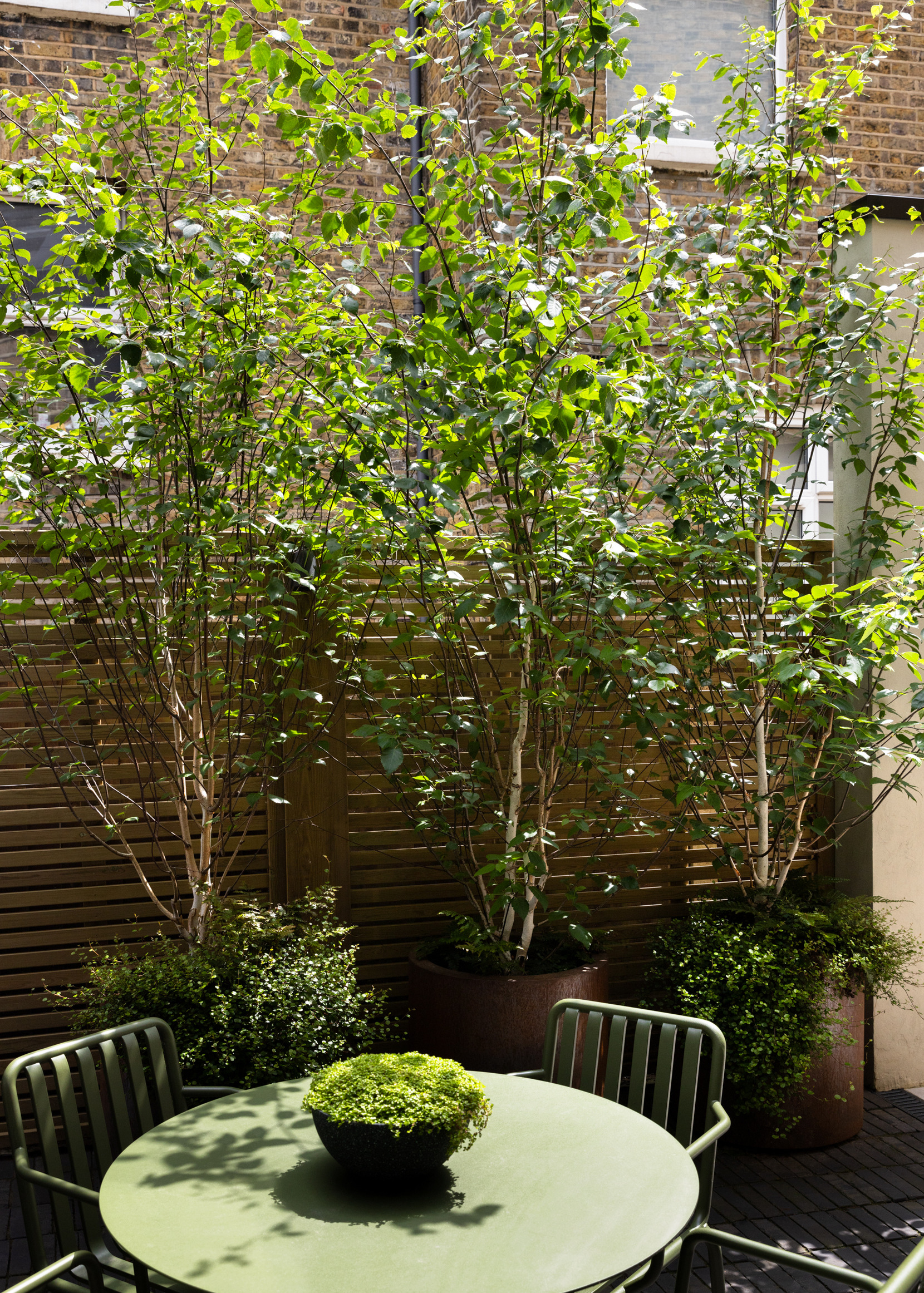 three tree saplings creating shade in a garden behind a round green dining table and chairs