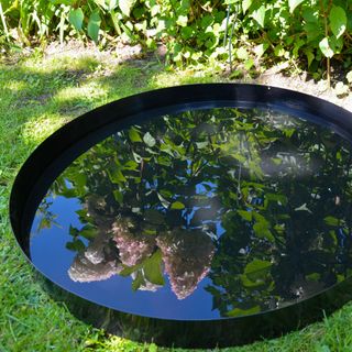 circular pond mirror on lawn