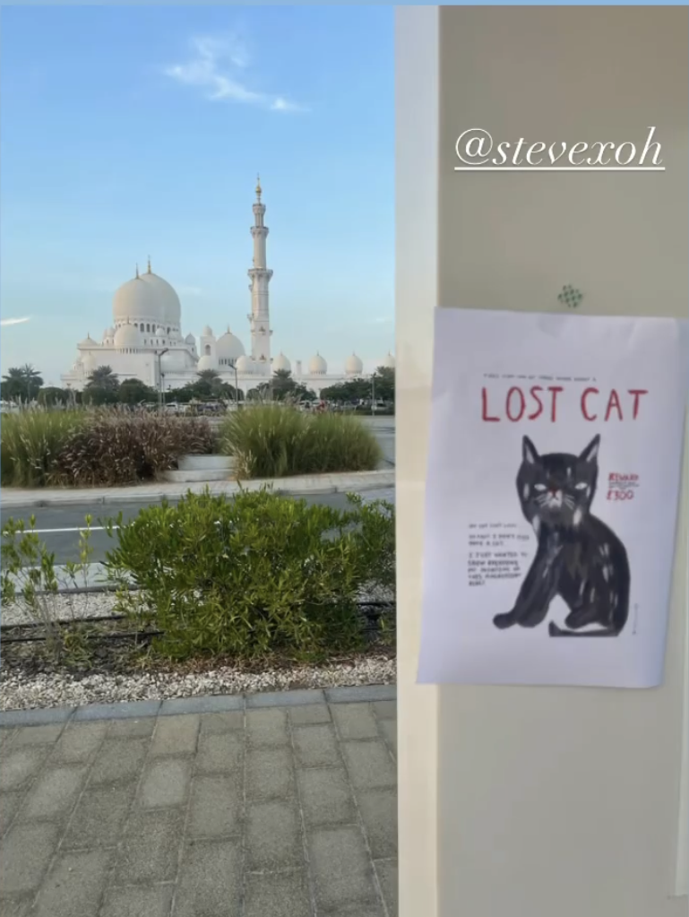 The cat posters