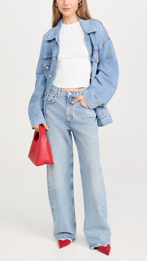 Agolde Low Curve Jeans