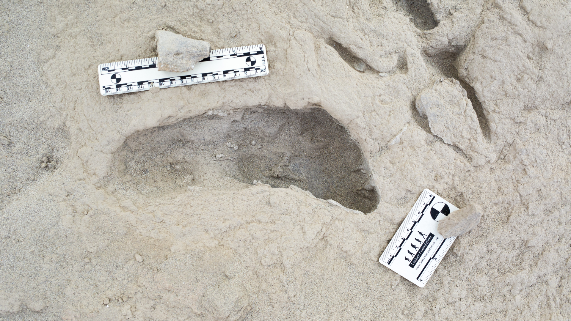 Footprint made in an ancient bed of mud.