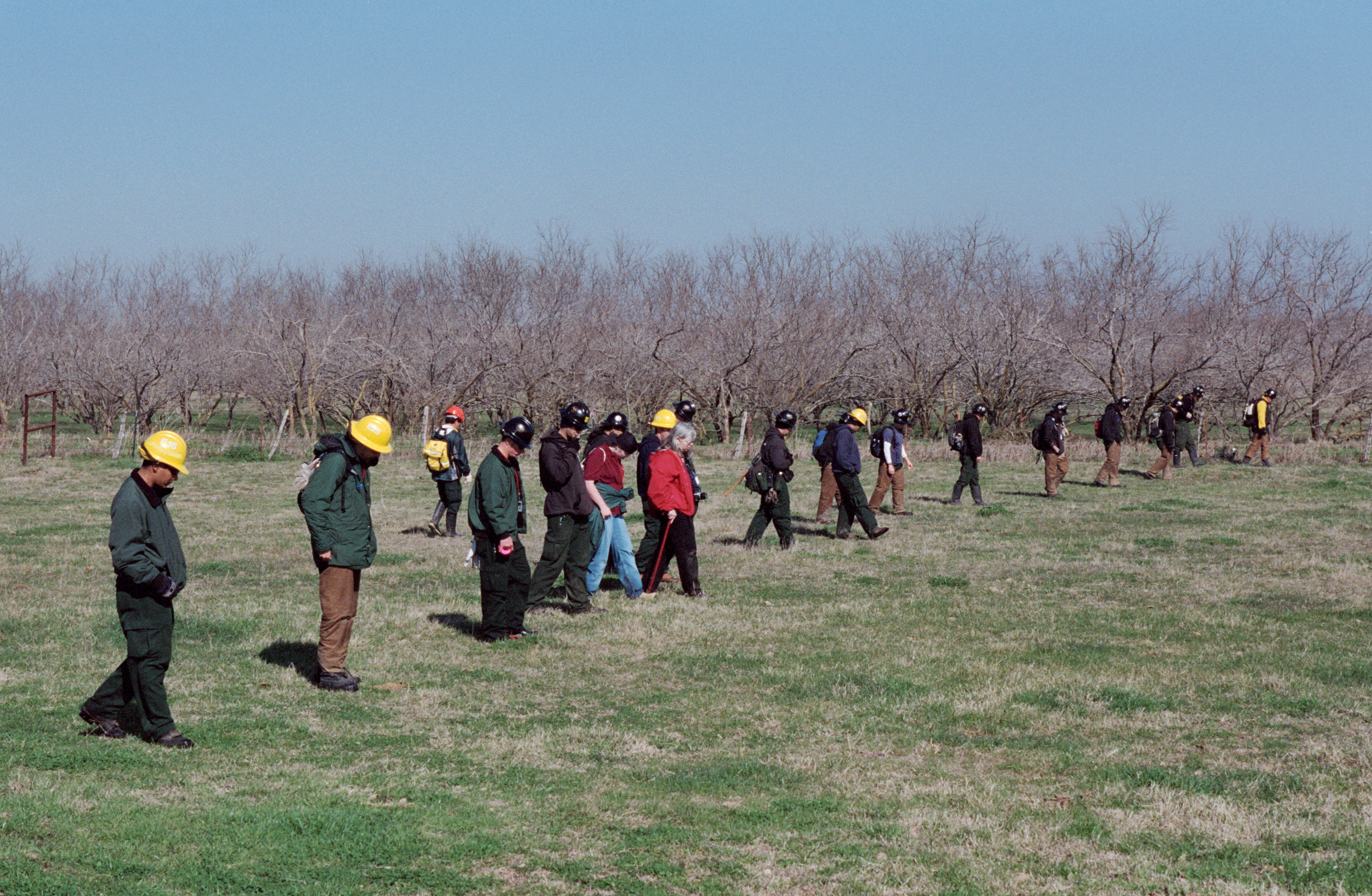 Volunteer Searchers Scour for Debris