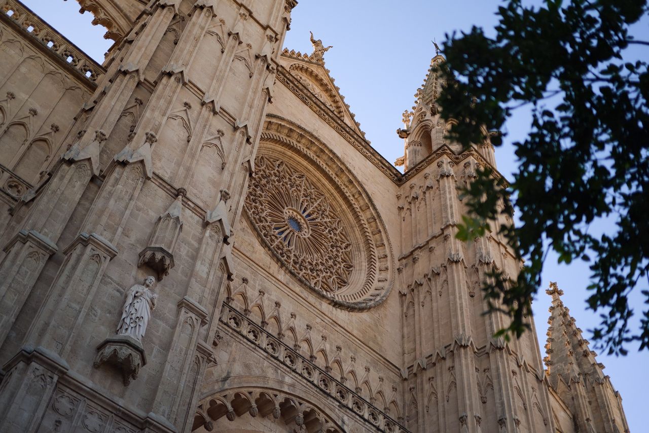 Low-angle view of an ornate Gothic cathedral facade with a large rose window framed by tree branches.