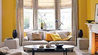 living room with bright yellow walls and accessories