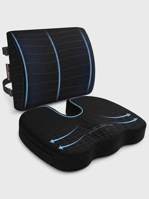Seat Cushion & Lumbar Support