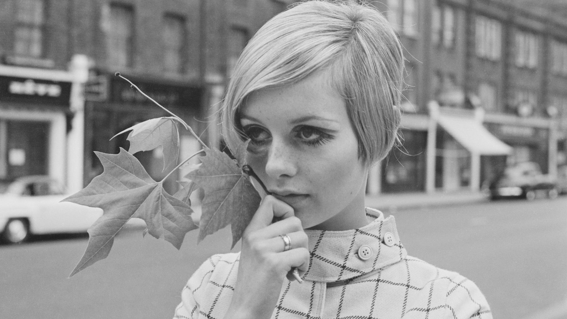 Twiggy
