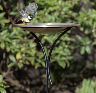 Bird bowl on a stake - brushed brass