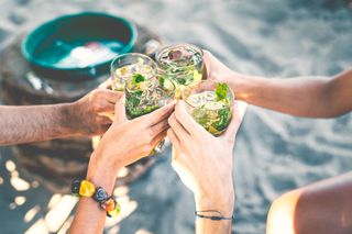 group of friends cheers gin and tonic