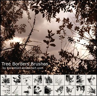Tree borders brushes