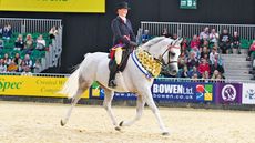 Rafeekah, being ridden by Kimberley Bates, to win the Purebred Arab of the Year, judged this time by 2025 HOYS judge David Bennett