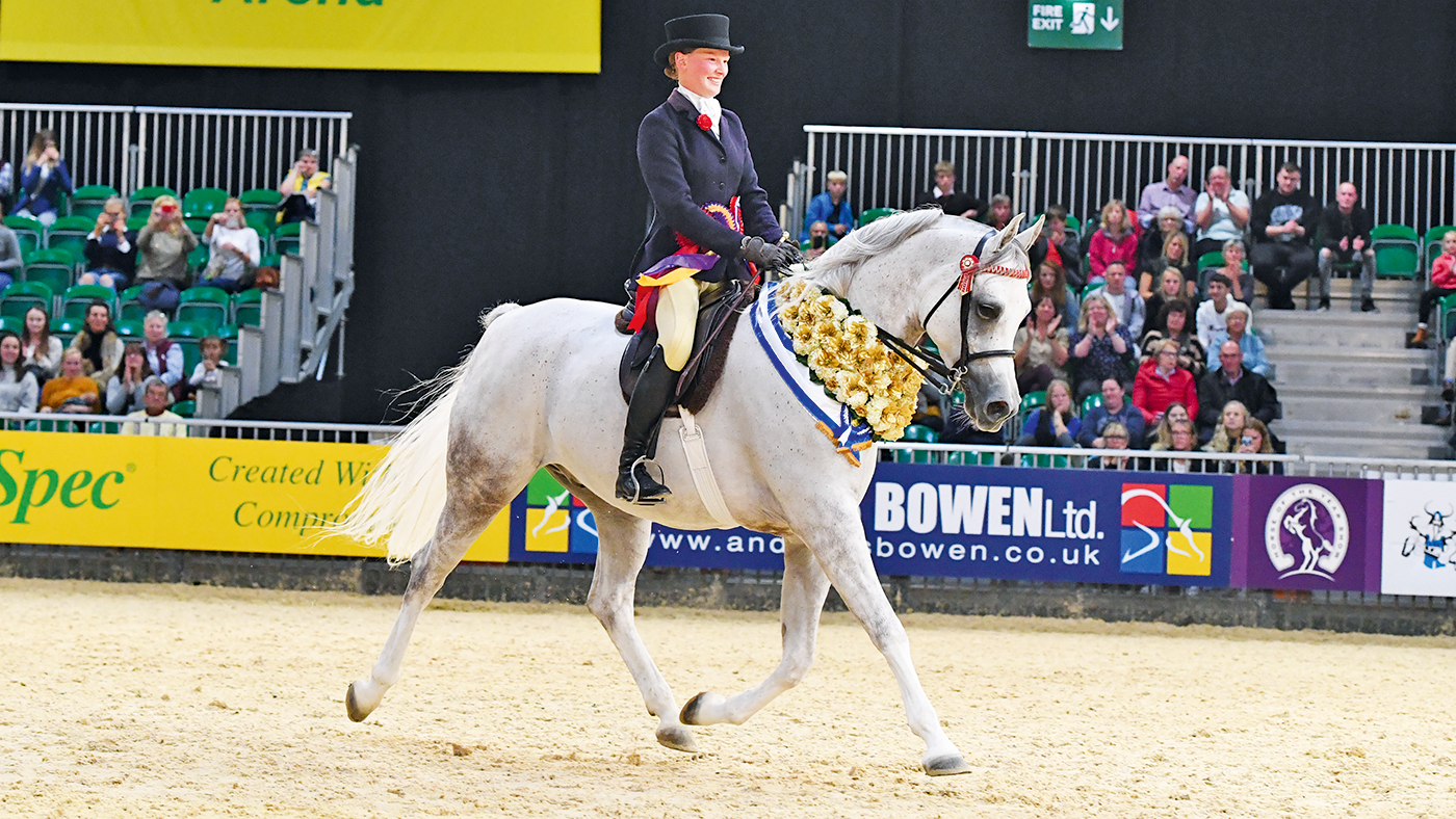 Rafeekah, being ridden by Kimberley Bates, to win the Purebred Arab of the Year, judged this time by 2025 HOYS judge David Bennett