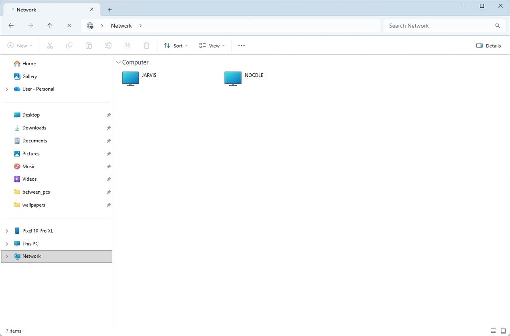 File Explorer Network page
