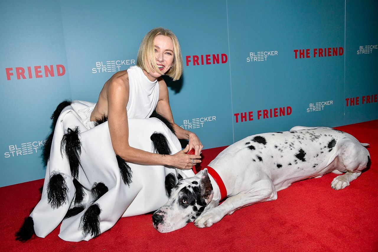 A woman kneels on the red carpet beside a large Great Dane with a red collar. She&rsquo;s wearing a striking white gown adorned with black tufts of fabric that echo the dog&rsquo;s spotted coat. The backdrop features the text &lsquo;THE FRIEND&rsquo; and &lsquo;Bleecker Street&rsquo;.