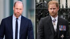 A composite of a picture of Prince William in 2026 and a picture of Prince Harry in 2023