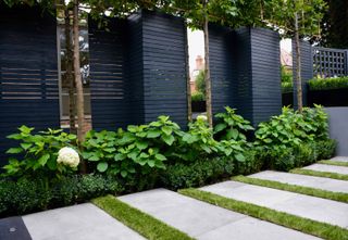 mirrors along blank fence with trees in garden by tom howard garden design