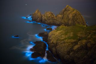 The waves around a set of islands glow neon blue