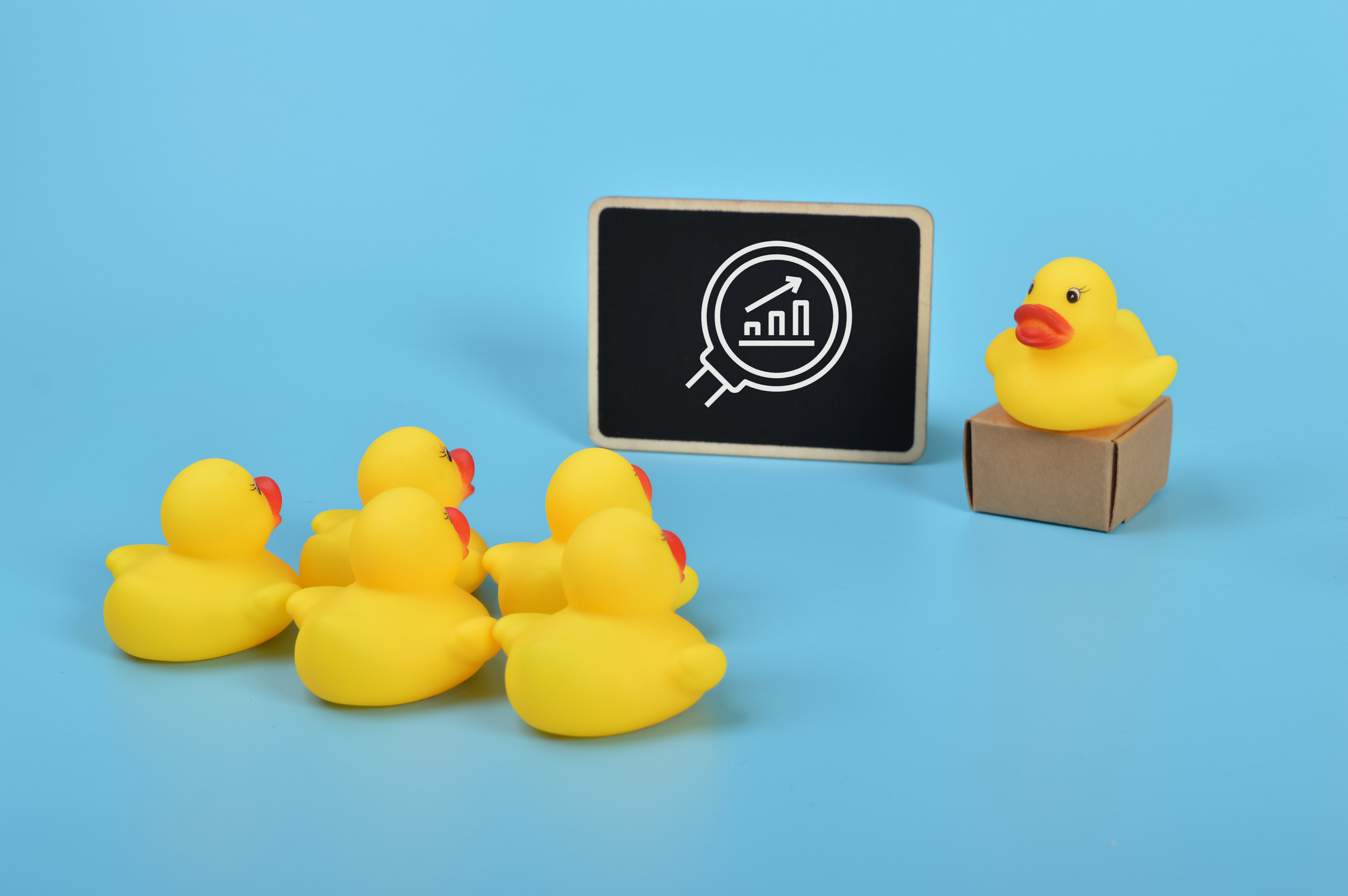 a rubber duck teaching other rubber ducks about business topics