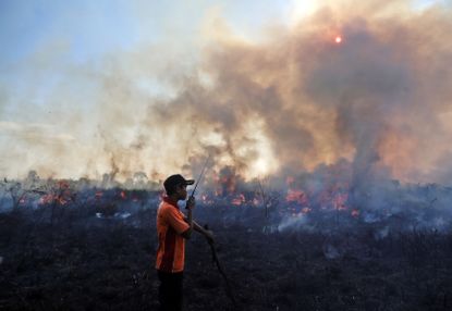 Indonesia has been experiencing rampant fires that the world is ignoring. 