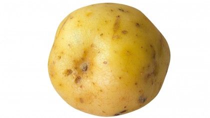 How to secretly ruin Christmas for everyone | TechRadar