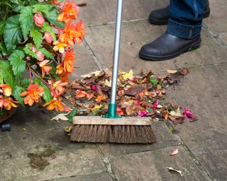 man sweeping up leaves and old petals from a patio