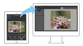 Once you've made your edits, Lightroom Mobile syncs them to the original file on your desktop