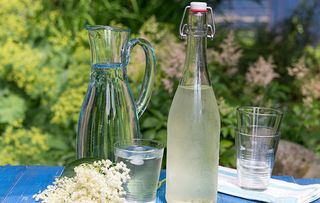 Elderflower cordial - home made