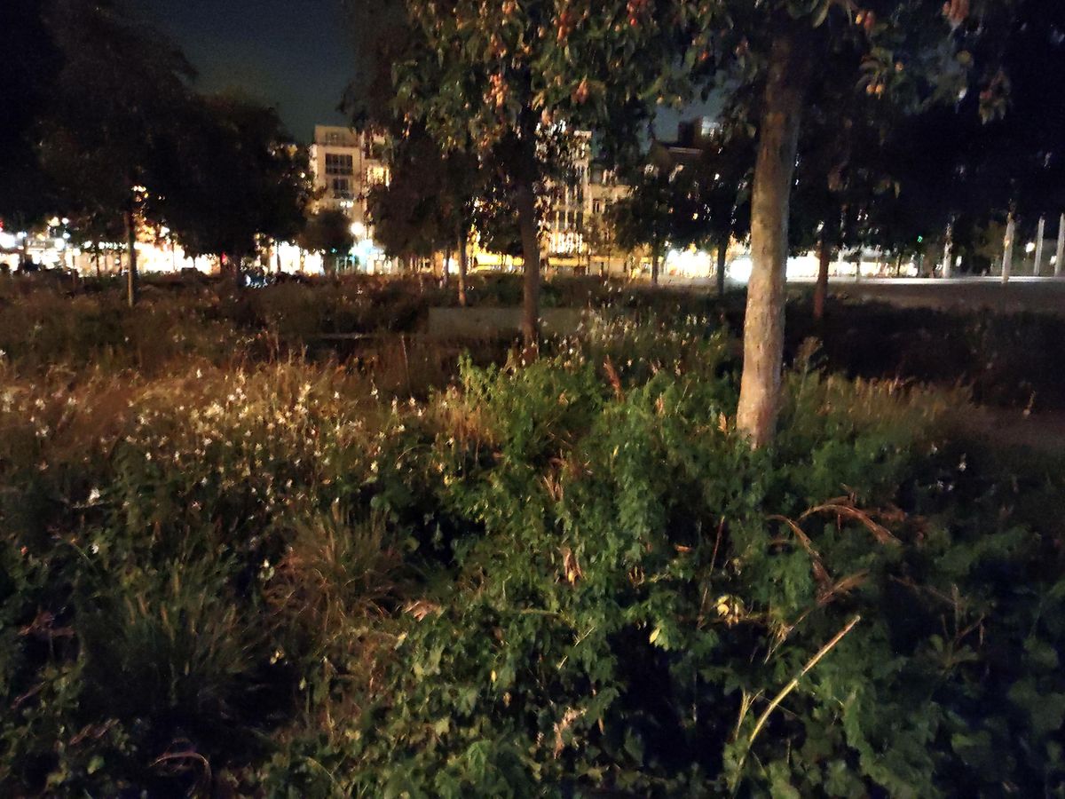 Hoofdcamera zonder nachtmodus