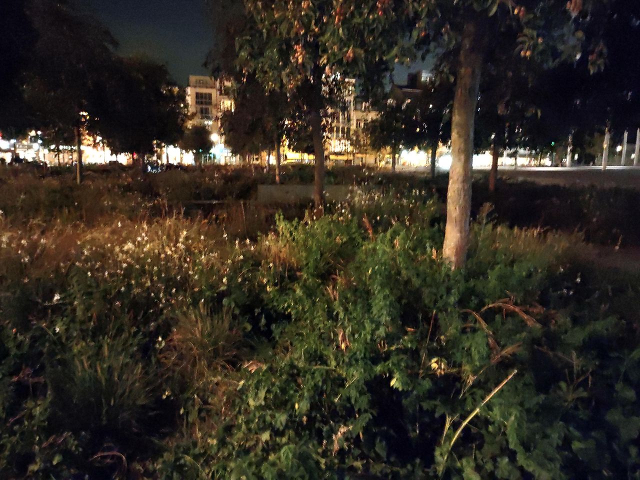 Hoofdcamera zonder nachtmodus