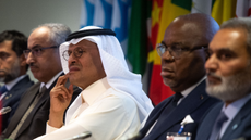 Opec+ members at a press conference in Vienna on Wednesday