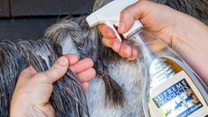 Close up of Supreme Products plaiting spray