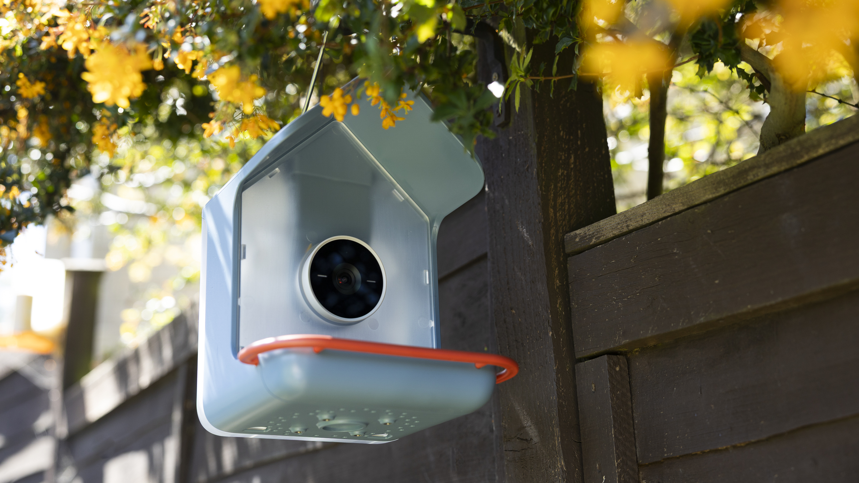 The Bird Buddy 2 hanging in a sunny position