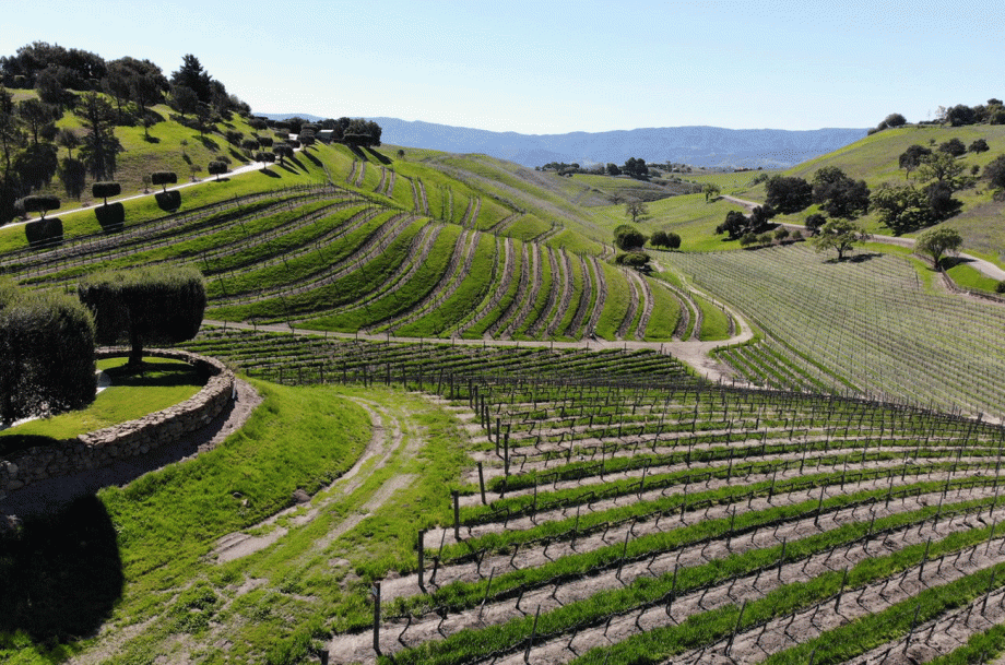 Santa Barbara County Syrah &ndash; Ballard Canyon AVA