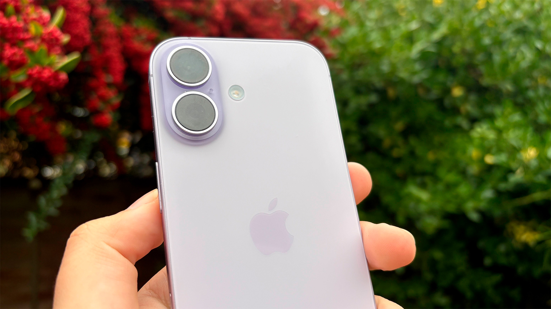 Apple iPhone 17 smartphone held in hand in front of bushes, showing camera array on rear