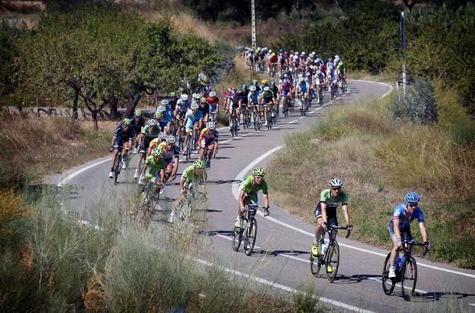 The peloton on stage 12