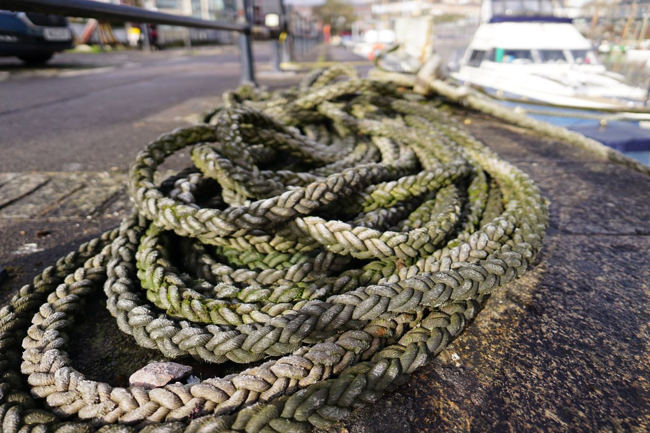 Sigma 15mm f/1.4 DC | C sample image