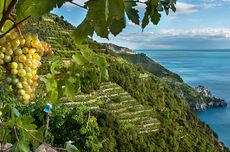 Cinque Terre travel guide