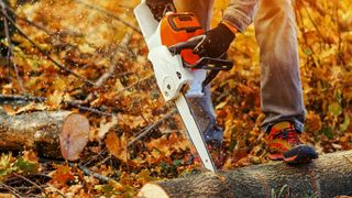 Person using a chainsaw to cut into a tree stump with autumn leaves around.